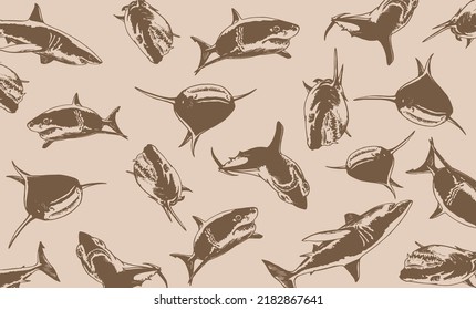 Graphical vintage design with sharks, vector color illustration for backgrounds,patterns , covers. Typography design with great white sharks