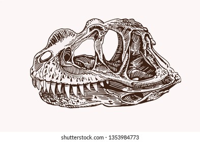 Graphical vintage dinosaur skull , retro background,vector sketchy illustration,tattoo