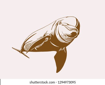 Graphical vintage dolphin ,vector illustration