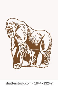 Graphical vintage drawing of gorilla ,sepia background,vector illustration