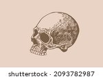 Graphical vintage drawing of Mayan skull , long skull of ancient tribe, vector illustration. 