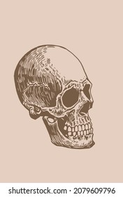 Graphical vintage drawing of Mayan skull , long skull of ancient tribe, vector illustration.