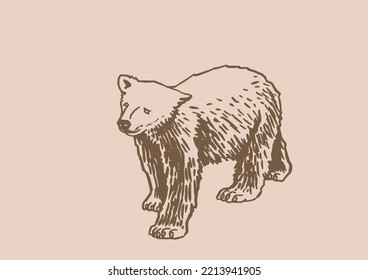 Graphical vintage drawing of polar bear ,vector illustration