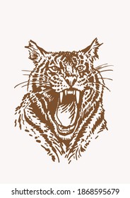 Graphical vintage drawing of tiger , sepia background,vector illustration