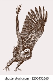 Grafische Ohrfliege aus Vintage, retro-sketchische Illustration, Tattoo und Druckdesign