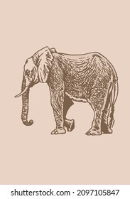 Graphical vintage elephant, Asian and African animal. Sepia background.Vector drawing