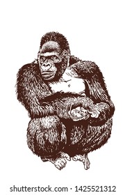 Graphical vintage gorilla,vector sepia illustration,monkey