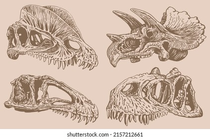 Graphical vintage hand-drawn set of skulls of dinosaurs  ,vector illustration,fossils