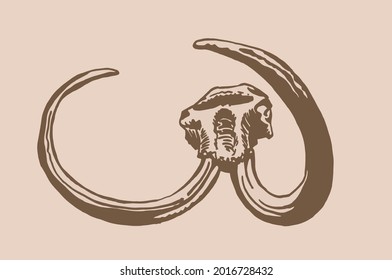 Graphical vintage hand-drawn skull of mammoth  on sepia background, vector paleontological element