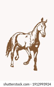 Graphical Vintage Horse ,sepia Background,illustration