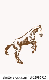 Graphical Vintage Horse ,sepia Background,illustration