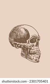 Graphical vintage human skull on sepia background,vector illustration. Spooky illustration for tattoo and design.Human fossil, science