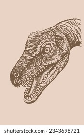 Graphical vintage illustration of diplodocus on sepia background,vector illustration, dinosaur with long neck