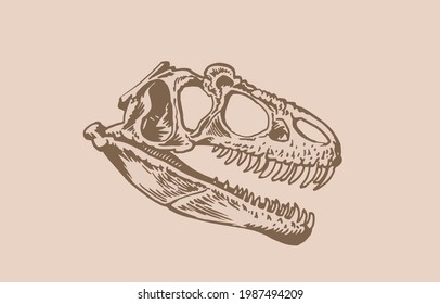 Graphical Vintage Illustration Of Skull Of Tyrannosaurus , Sepia Sketch 