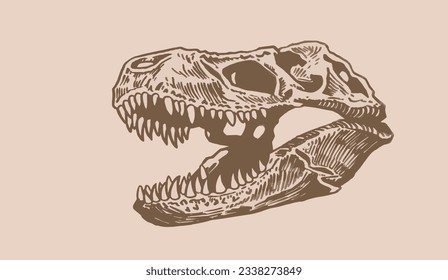 Graphical vintage illustration of skull of tyrannosaurus,vector illustration, fossils