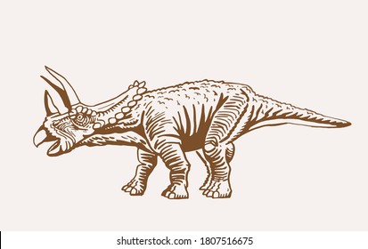 Graphical vintage illustration of  triceratops for printing and design.Vector dinosaur