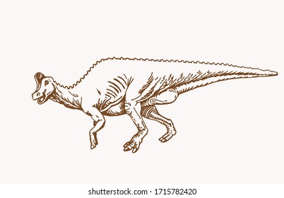 Graphical vintage parasaurolophus, sepia background, vector illustration,paleontology