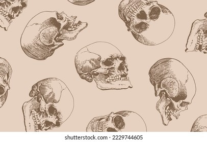 Graphical vintage pattern with human skulls on sepia background, wallpaper , fossils cover