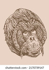 Graphical vintage portrait of baboon, vector head of monkey, illustration