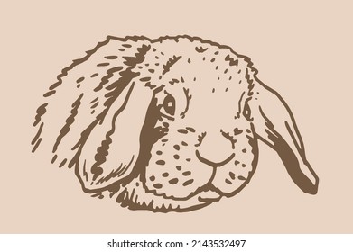 graphical vintage portrait of bunny , sepia background,easter bunny element