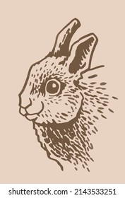 graphical vintage portrait of bunny , sepia background,easter bunny element
