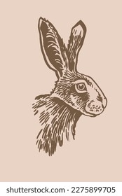 Graphical vintage portrait of bunny , sepia background. Vector illustration of rodent