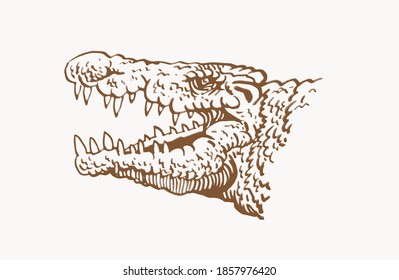 Graphical vintage portrait of crocodile , sepia vector illustration