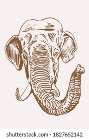 Graphical vintage portrait of elephant , sepia background, vector illustration