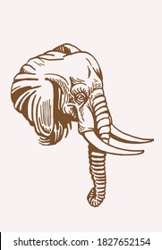 Graphical vintage portrait of elephant , sepia background, vector illustration