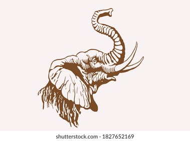 Graphical vintage portrait of elephant , sepia background, vector illustration