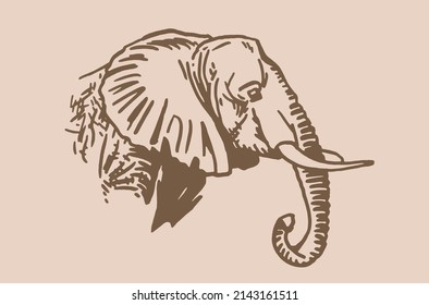 Graphical vintage portrait of elephant , sepia background,vector element