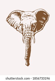 Graphical vintage portrait of elephants , vector illustration