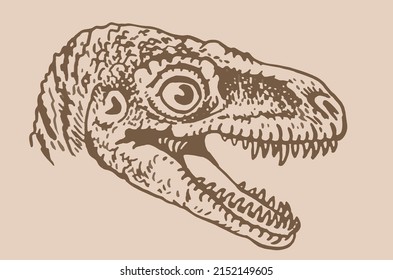 Graphical vintage portrait of raptor, vector dinosaur of jurassic period, illustration for educational books,printing and design