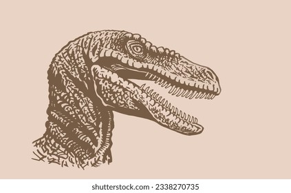 Graphical vintage portrait of raptor, vector illustration,head of dinosaur