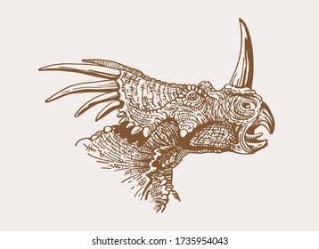 Graphical vintage portrait of Styracosaurus,vector illustration