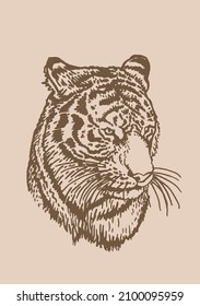 Graphical vintage  portrait of tiger ,sepia stripy skin design