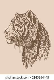 Graphical vintage  portrait of tiger , sepia background,vector element