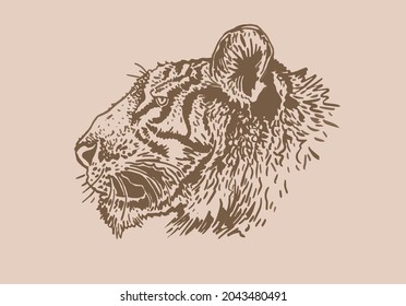 Graphical vintage portrait of tiger,sepia background,vector element