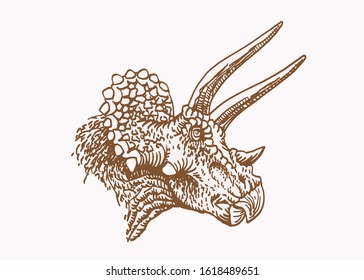 Graphical vintage portrait of  triceratops sepia illustration,dinosaur