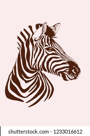 Graphical vintage portrait of zebra , retro sketch for typography and design ,vector