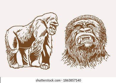 Graphical vintage portraits of gorilla and hyena, sepia background, vector