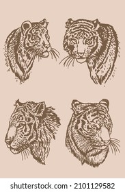 Graphical vintage portraits of tigers , stripy sepia skin design