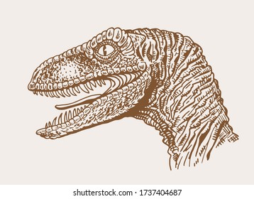 Graphical Vintage Raptor , Sepia Background, Vector Illustration, Dinosaur