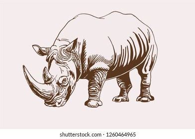 Graphical vintage rhino ,vector retro sketch