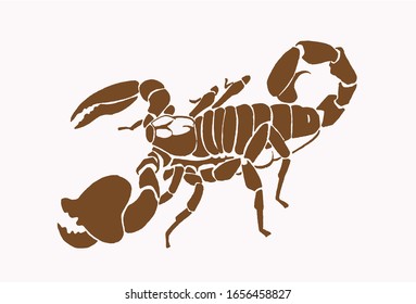 Graphical vintage scorpion ,sepia illustration, dangerous insect
