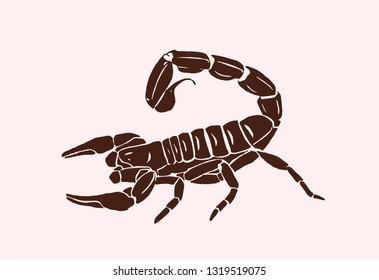 Graphical vintage scorpion ,vector illustration for  printing	