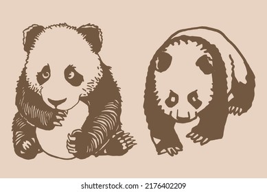 Graphical vintage set of adorable pandas, vector ink pen illustration, cute bears