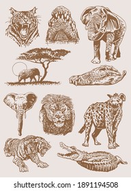 Graphical vintage set of African animals , sepia backgrund.