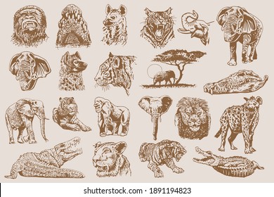 Graphical vintage set of African animals , sepia backgrund.