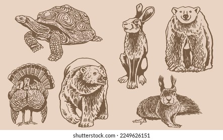 Graphical vintage set of animals on sepia background,vector  illustration. Zoology